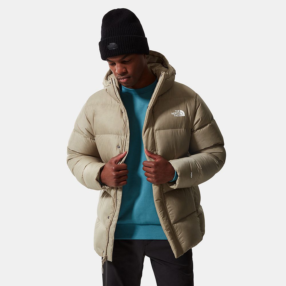 The North Face Winter Jacket Mens Australia - The North Face City Standard Khaki (CPV-179260)